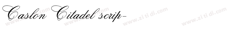 Caslon Citadel scrip字体转换